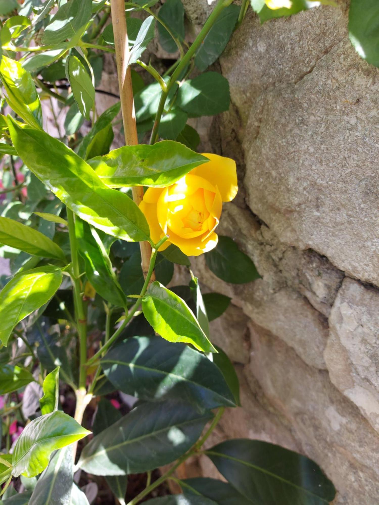 ספליט Apartments And Rooms Stone House חדר תמונה