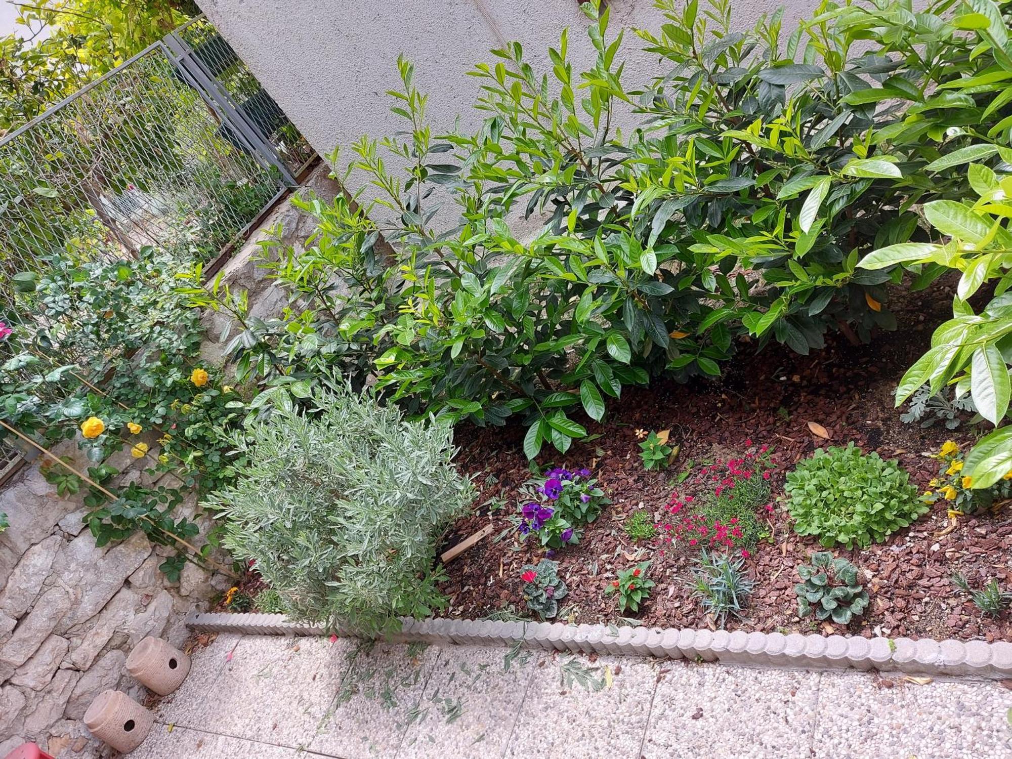 ספליט Apartments And Rooms Stone House חדר תמונה